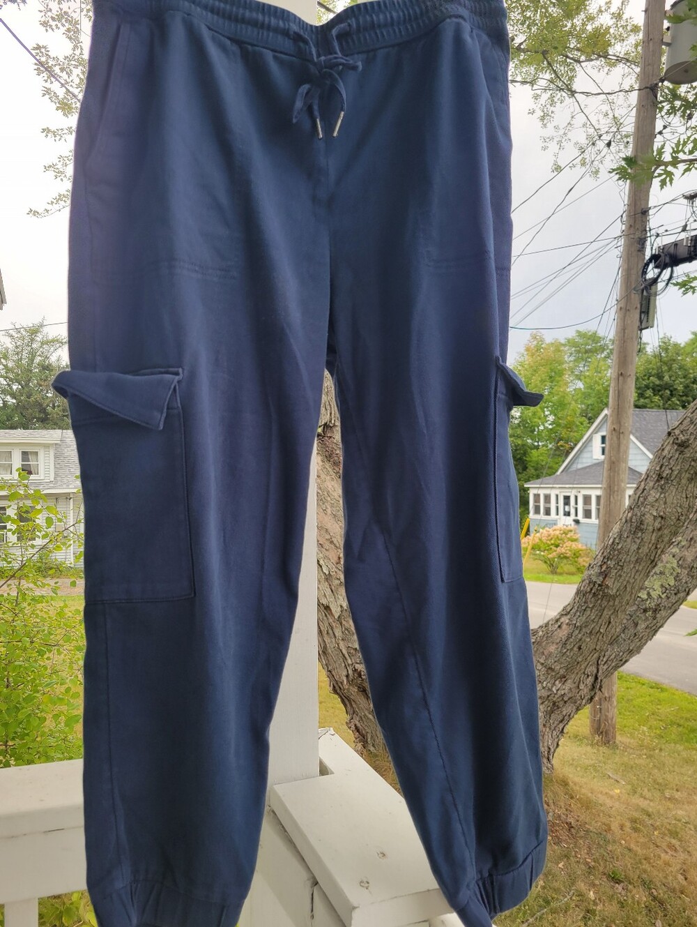 Banana Republic, Women's joggers, size-Large petite, Color-Navy